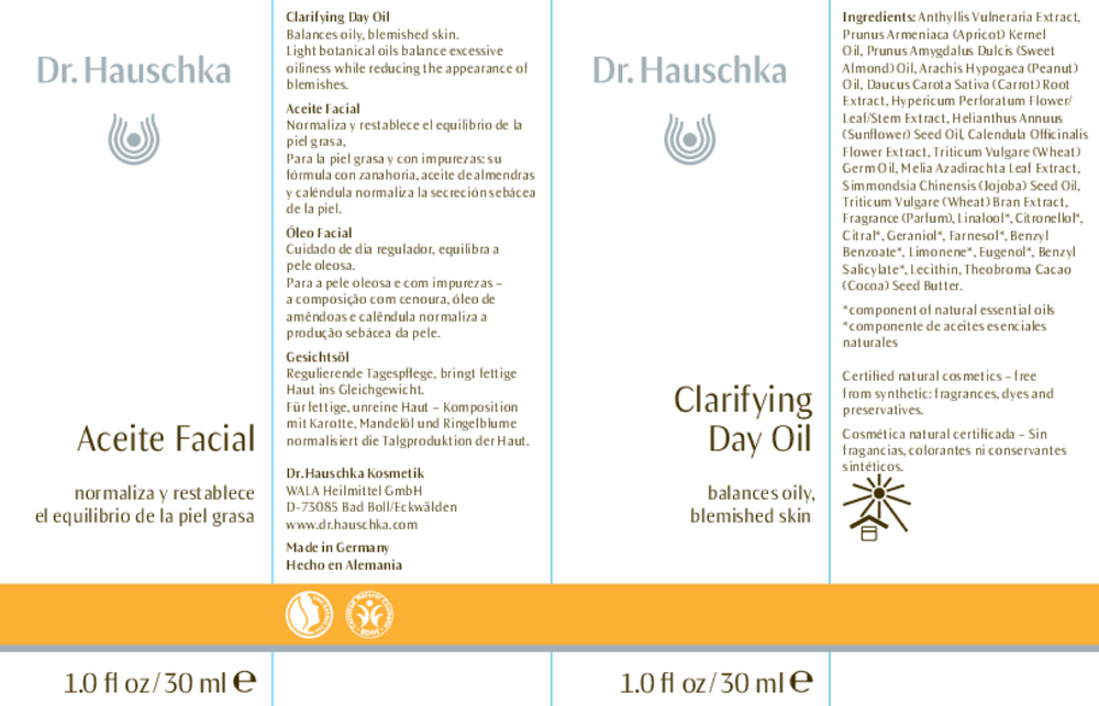 Clarifying Day Oil