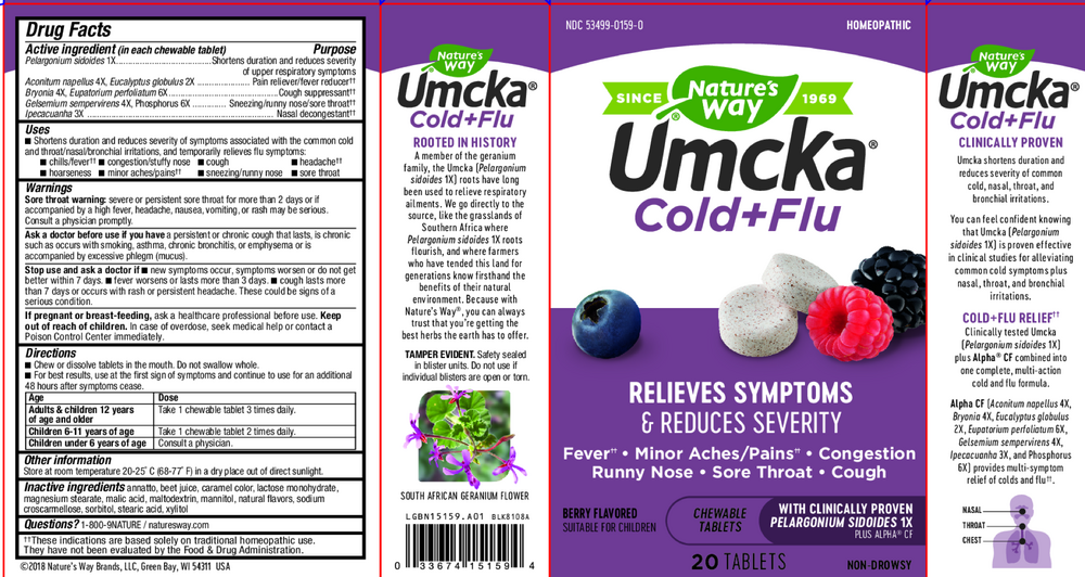 Umcka® Cold+Flu Berry Chewable