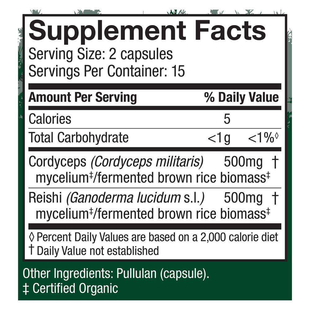 Cordyceps (Cordyceps Militaris)
