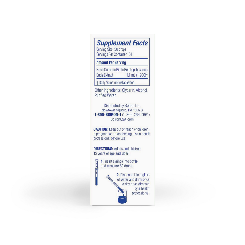 Common Birch/Betula Pubescens