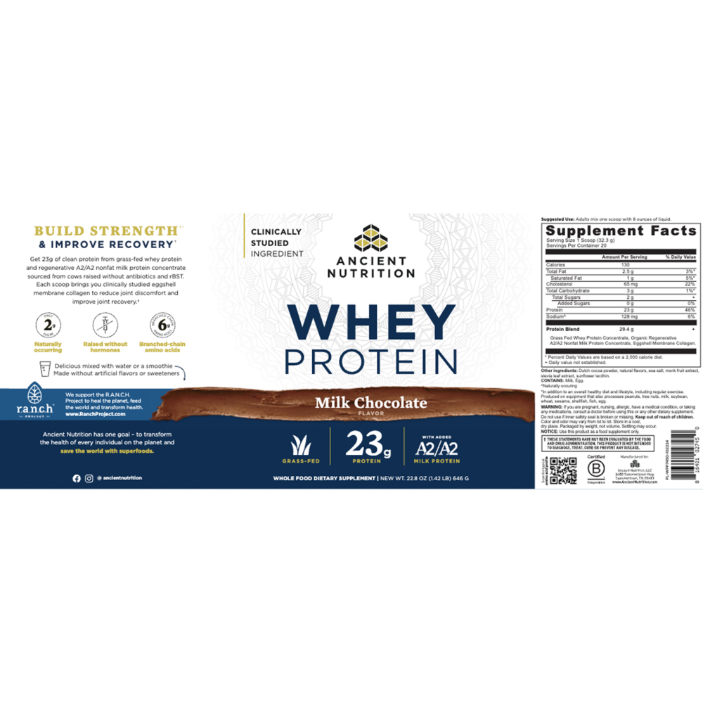 Whey Protein Powder - Milk Chocolate