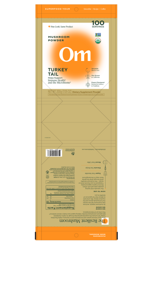 Turkey Tail (Trametes versicolor)