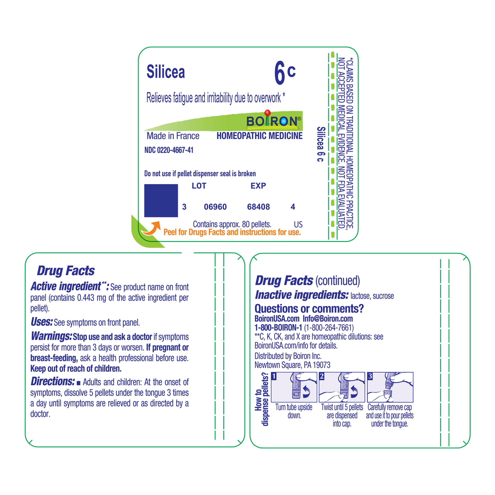 Silicea 6c