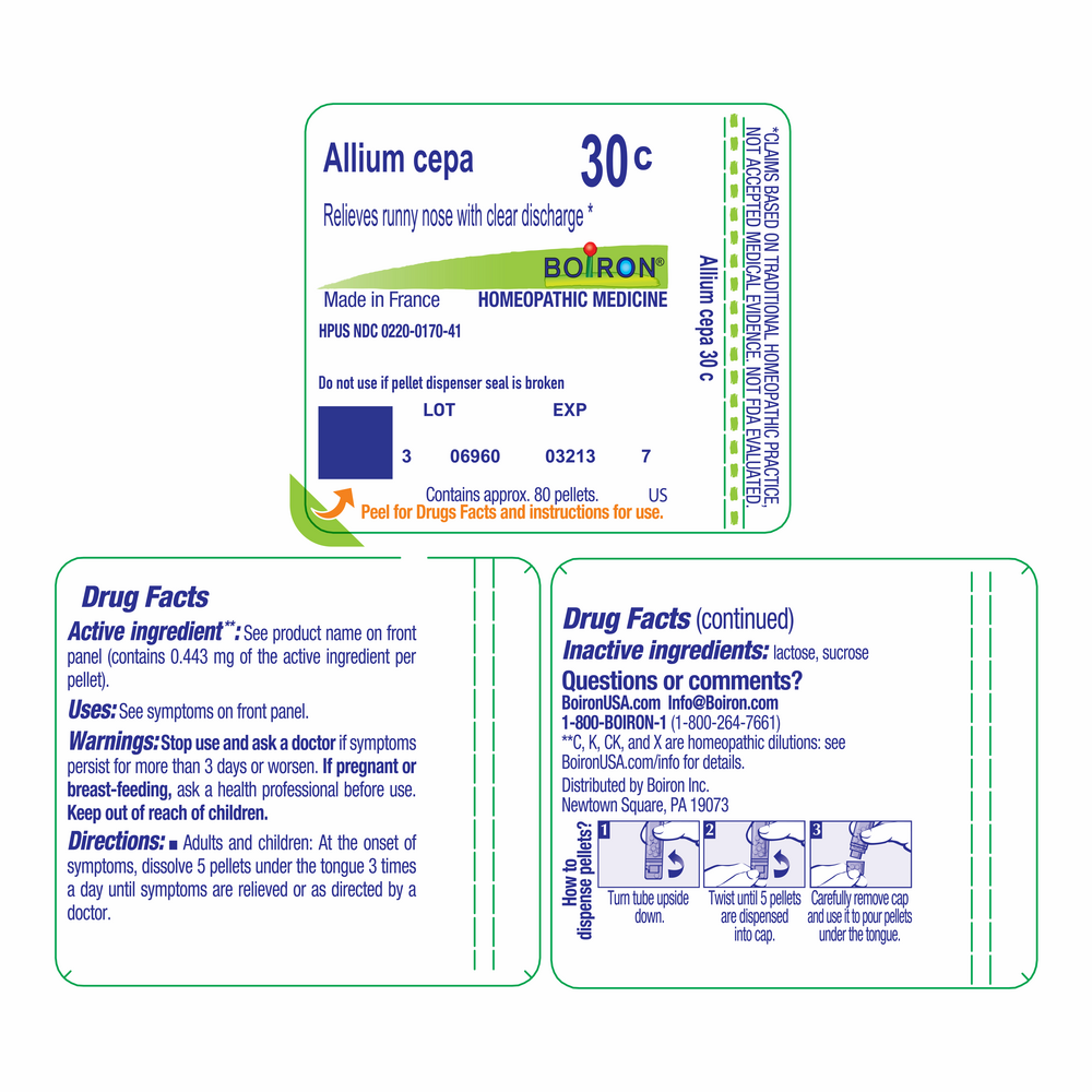 Allium Cepa 30c