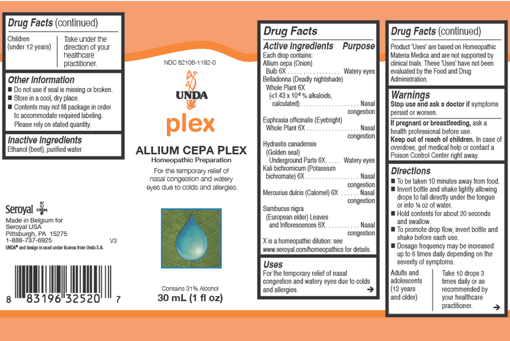 Allium Cepa Plex