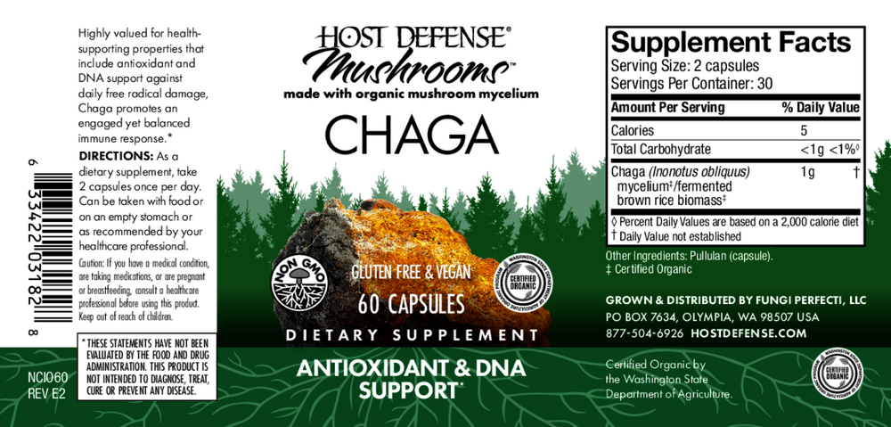 Chaga (Inonotus obliquus)