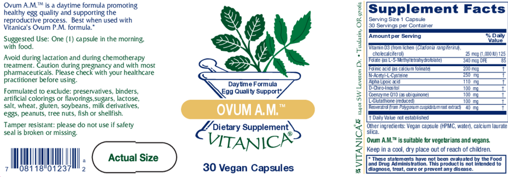 Ovum AM