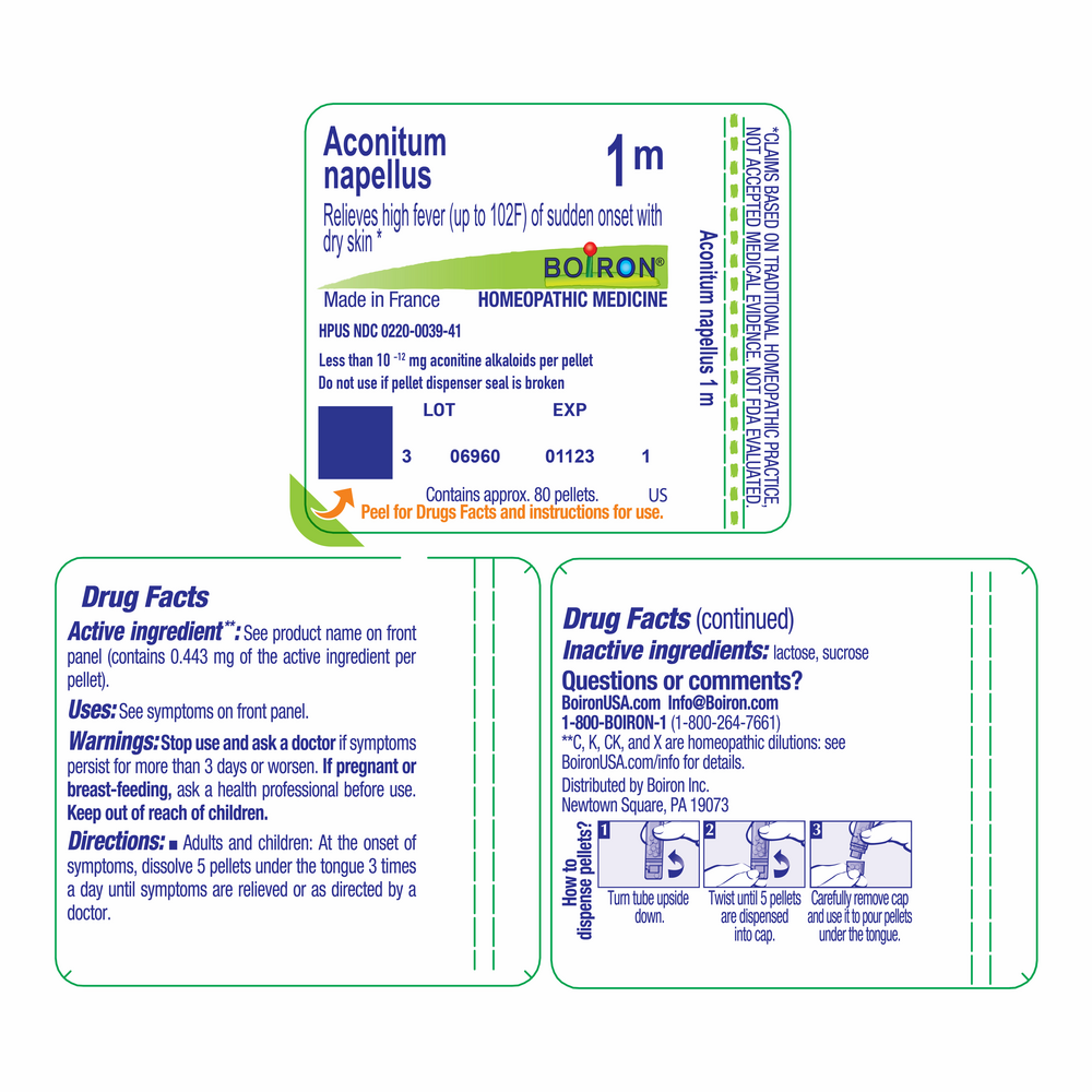 Aconitum Napellus 1m