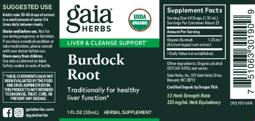 Burdock Root