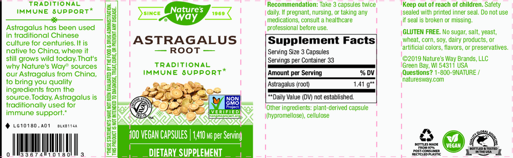 Astragalus Root