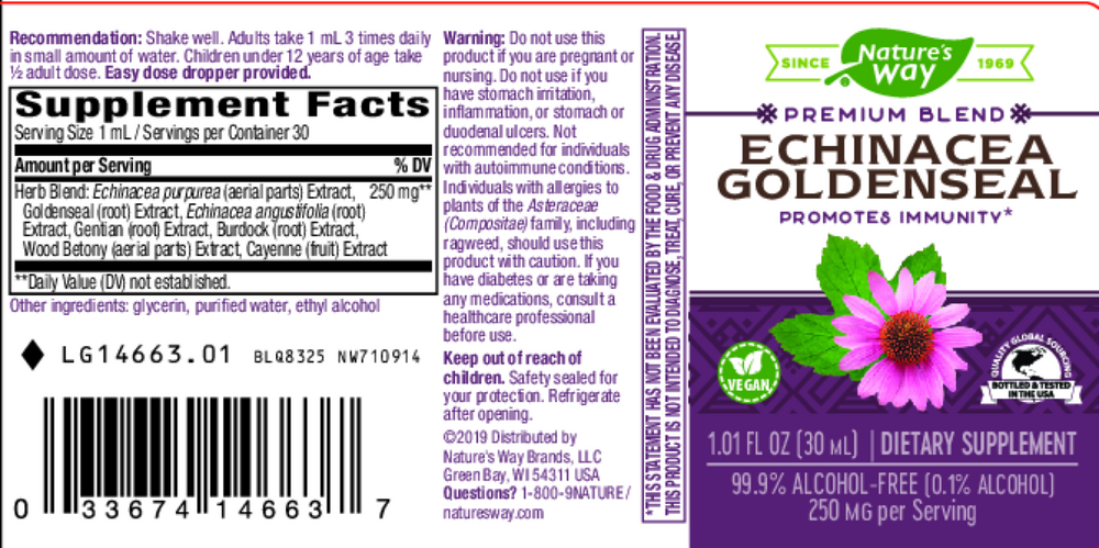 Echinacea Goldenseal Liquid