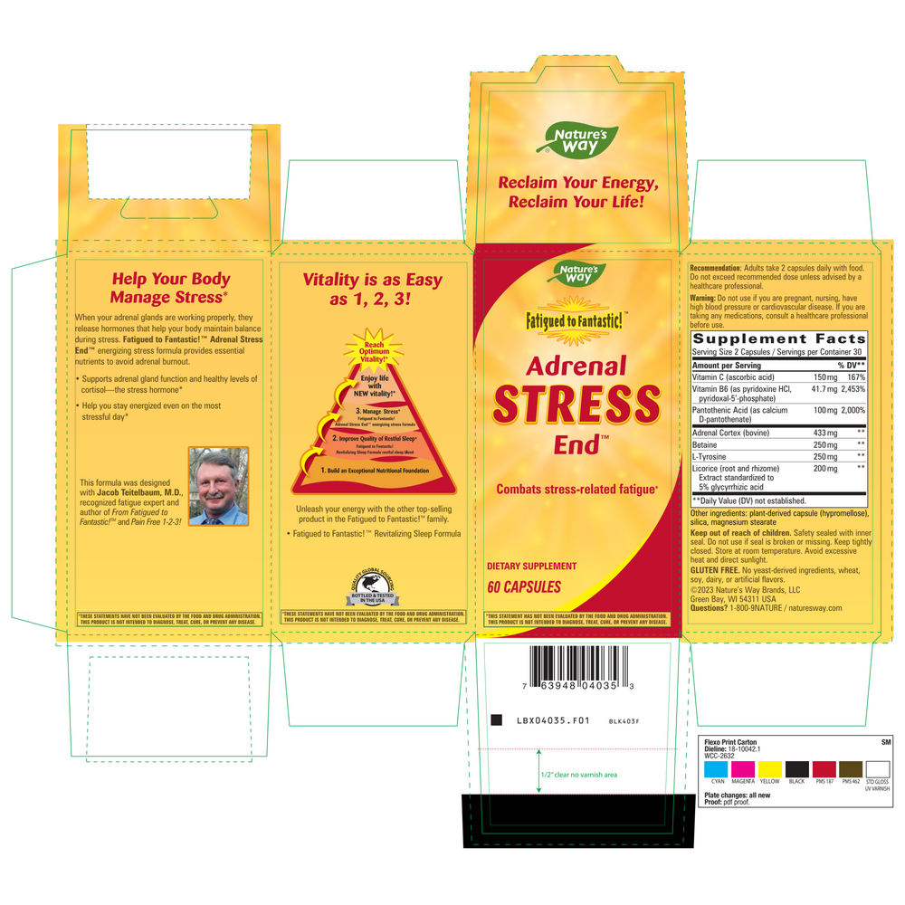 Fatigued to Fantastic! Adrenal Stress End