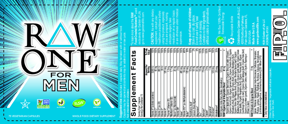 Vitamin Code RAW One for Men