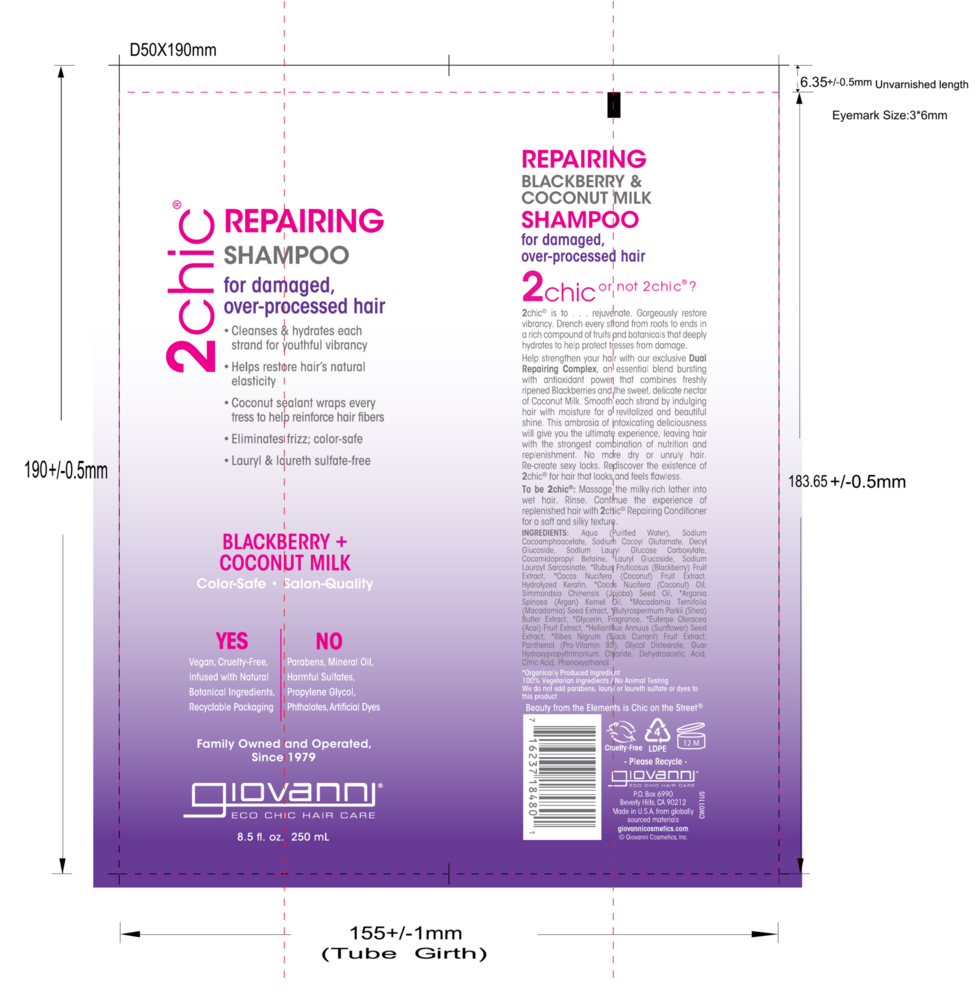 2chic Ultra-Repair Shampoo