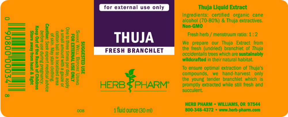 Thuja