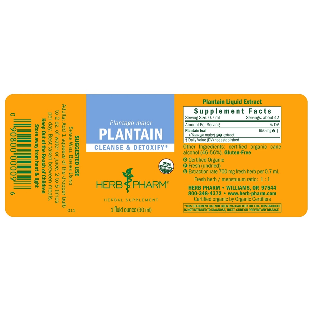 Plantain