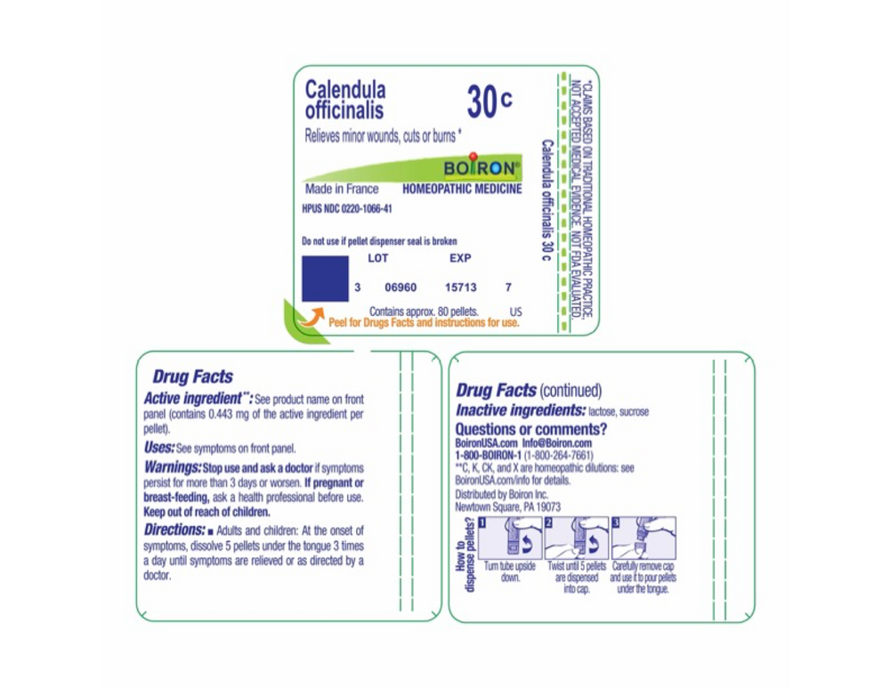 Calendula Officinalis 30c