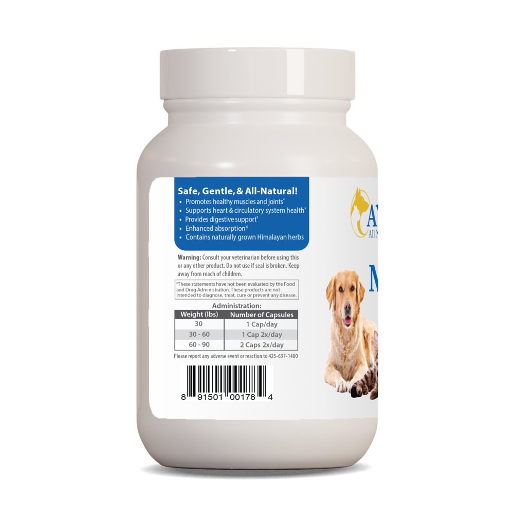 Pet Curcumin 97%