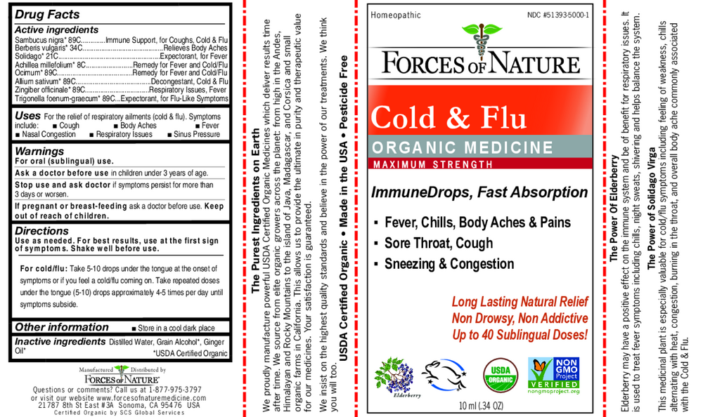 Cold & Flu Maximum Strength