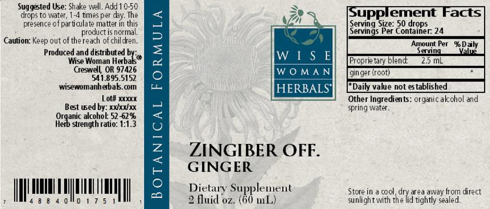 Zingiber officinale - ginger
