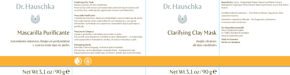 Clarifying Clay Mask