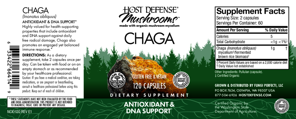 Chaga (Inonotus obliquus)