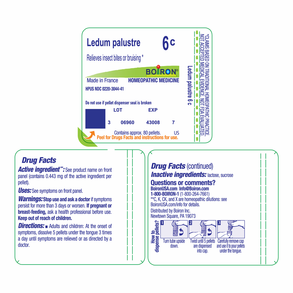 Ledum Palustre 6c