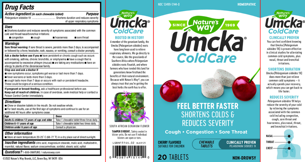 Umcka® ColdCare Cherry Flavor Chewable