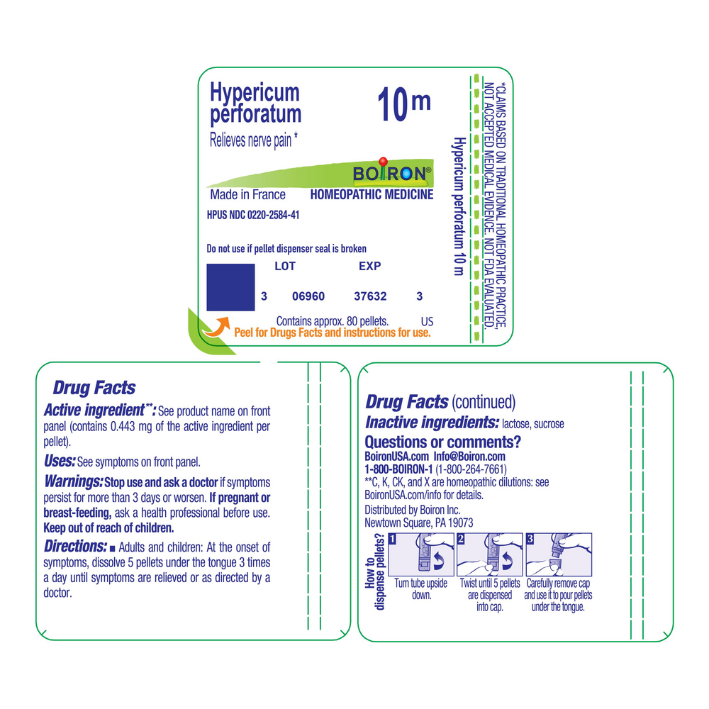 Hypericum Perforatum 10m