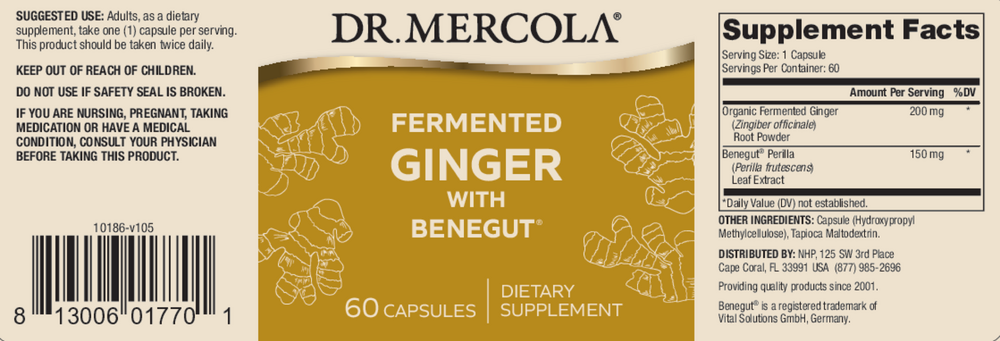 Fermented Ginger