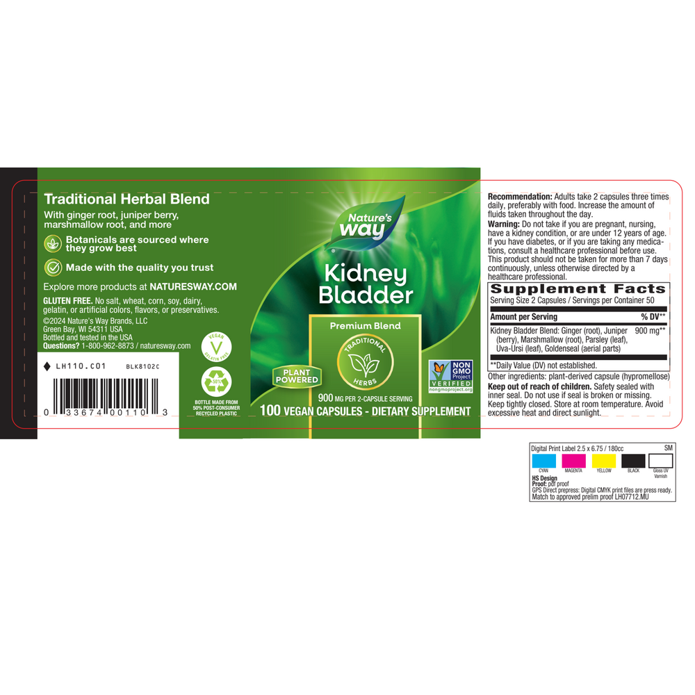 Kidney Bladder
