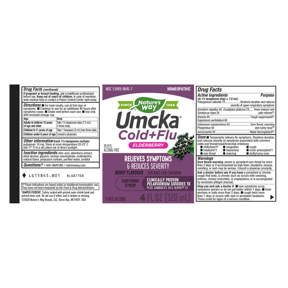 Umcka® Elderberry Cold + Flu Syrup 4oz