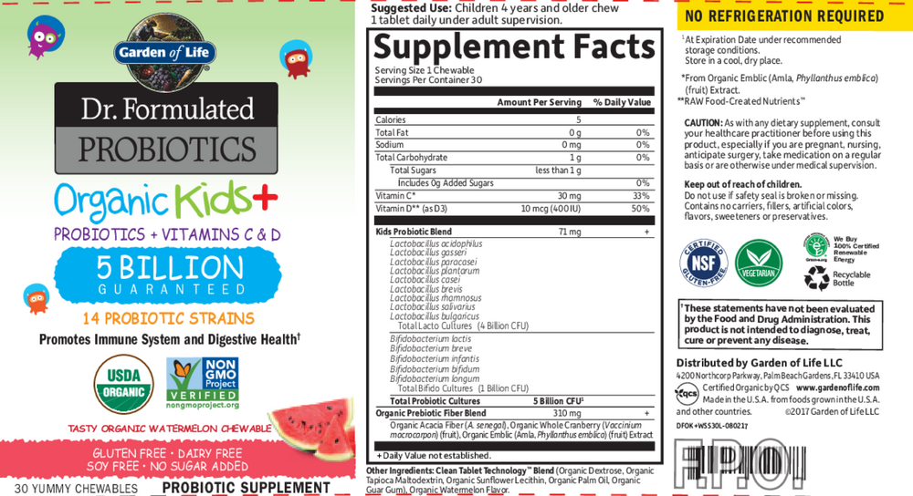 Dr. Formulated Probiotics Organic Kids Watermelon