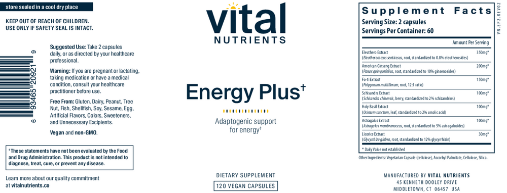 Energy Plus