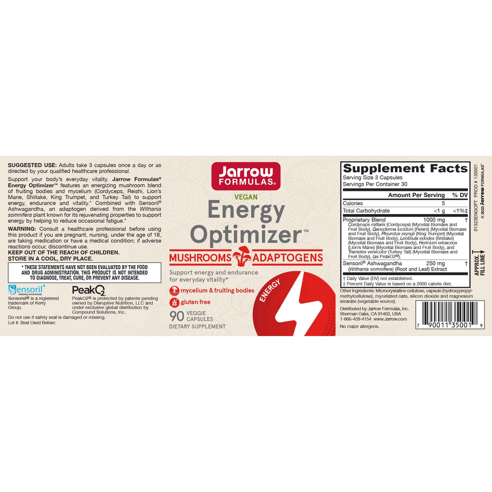 Energy Optimizer