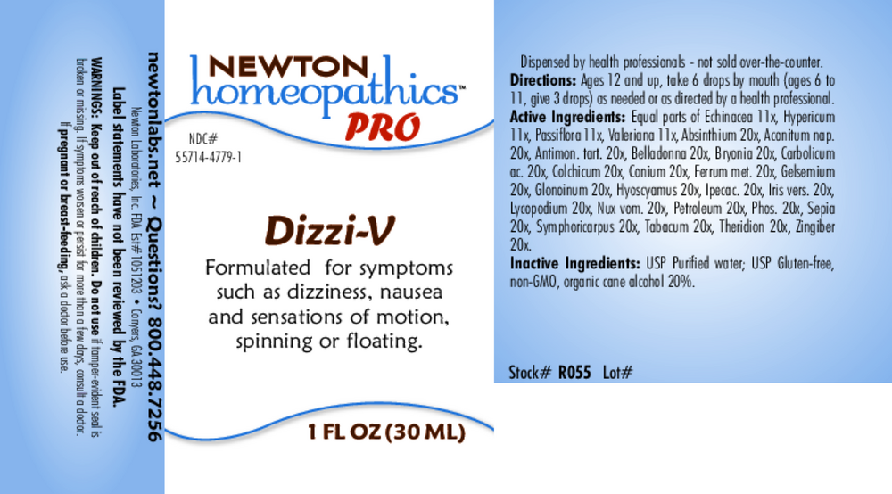 Dizzi-V
