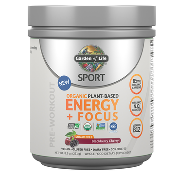 SPORT Organic Energy + Focus SF Blackberry Cherry