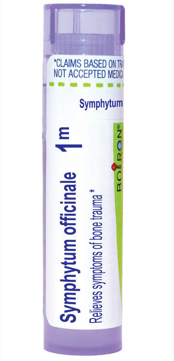 Symphytum Officinale 1m