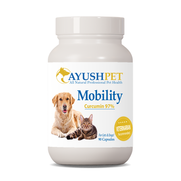Pet Curcumin 97%