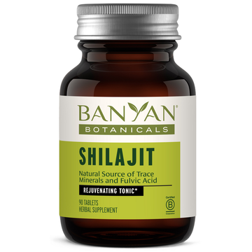 Shilajit Tablets