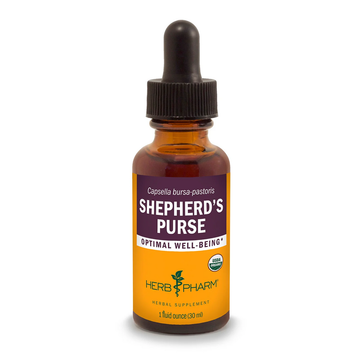 Shepherd's Purse