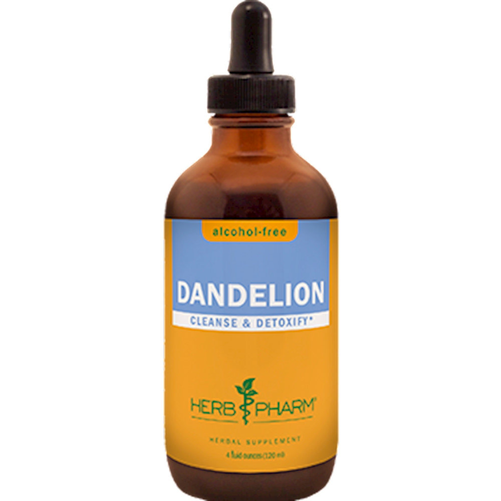 Dandelion Glycerite