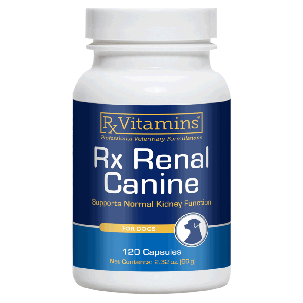 Rx Renal Canine