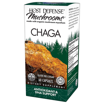 Chaga (Inonotus obliquus)