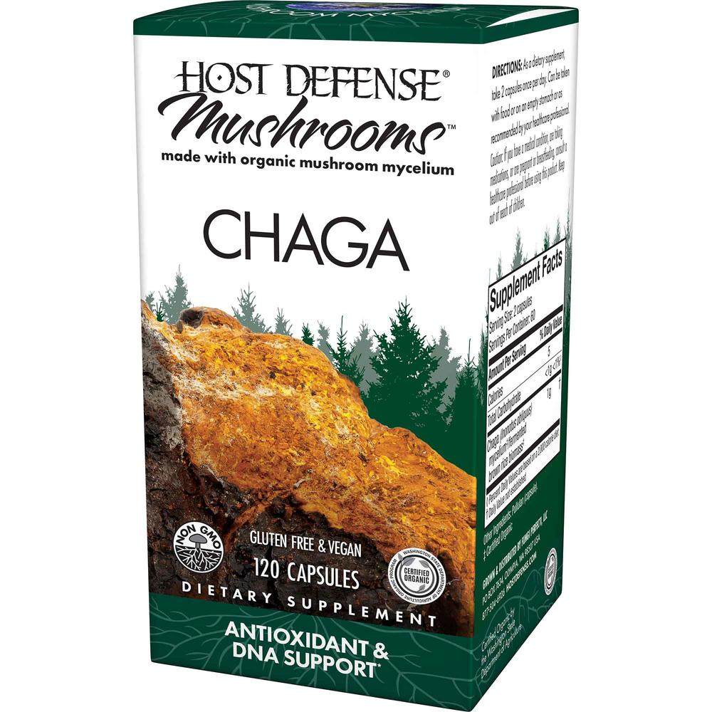 Chaga (Inonotus obliquus)