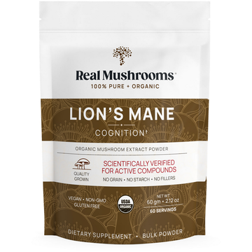 Lion's Mane Extract Powder