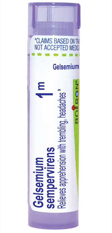 Gelsemium Sempervirens 1m