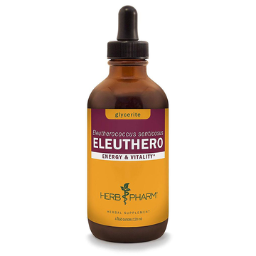 Eleuthero Glycerite