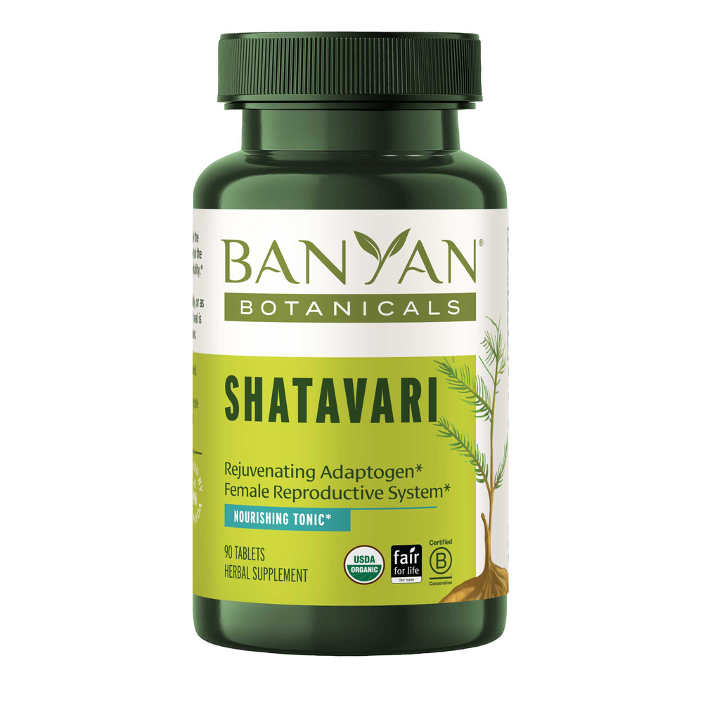 Shatavari Root Powder, Organic