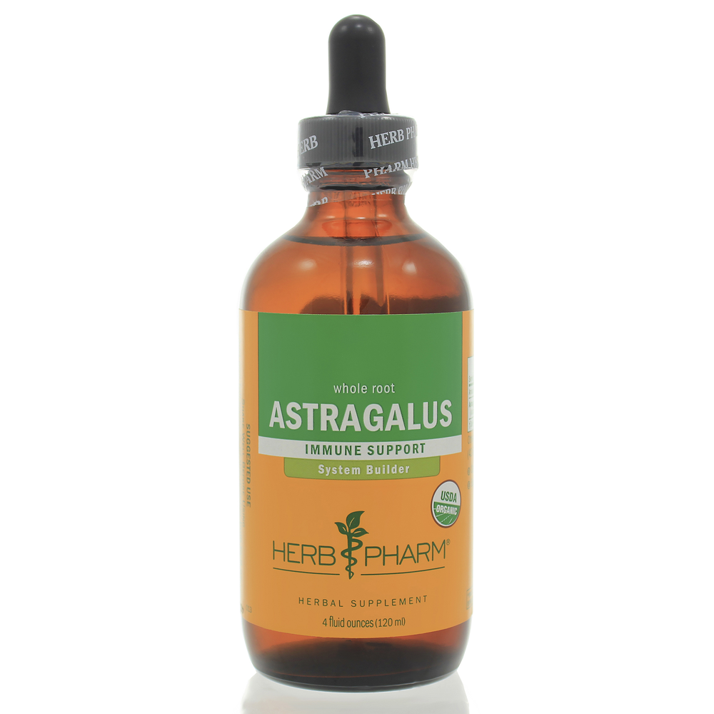 Astragalus
